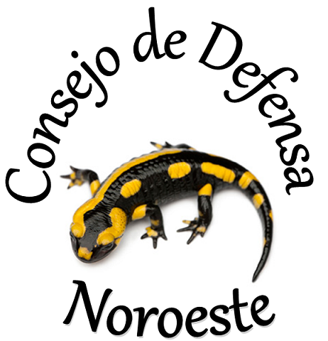 Consejo de Defensa Noroeste