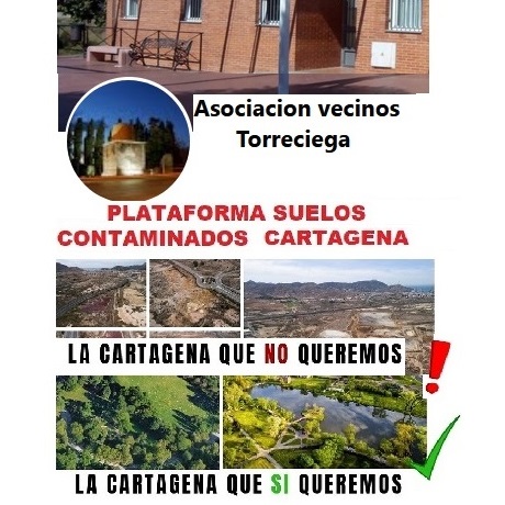 AAVV Torreciega y Plataf.Suelos Contaminados Ct