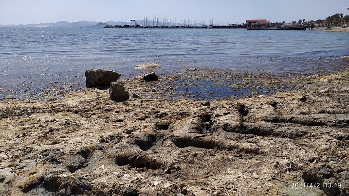 Los Alcázares, montañas de arena que extienden con maquinaria pesada y zonas de algas en descomposión