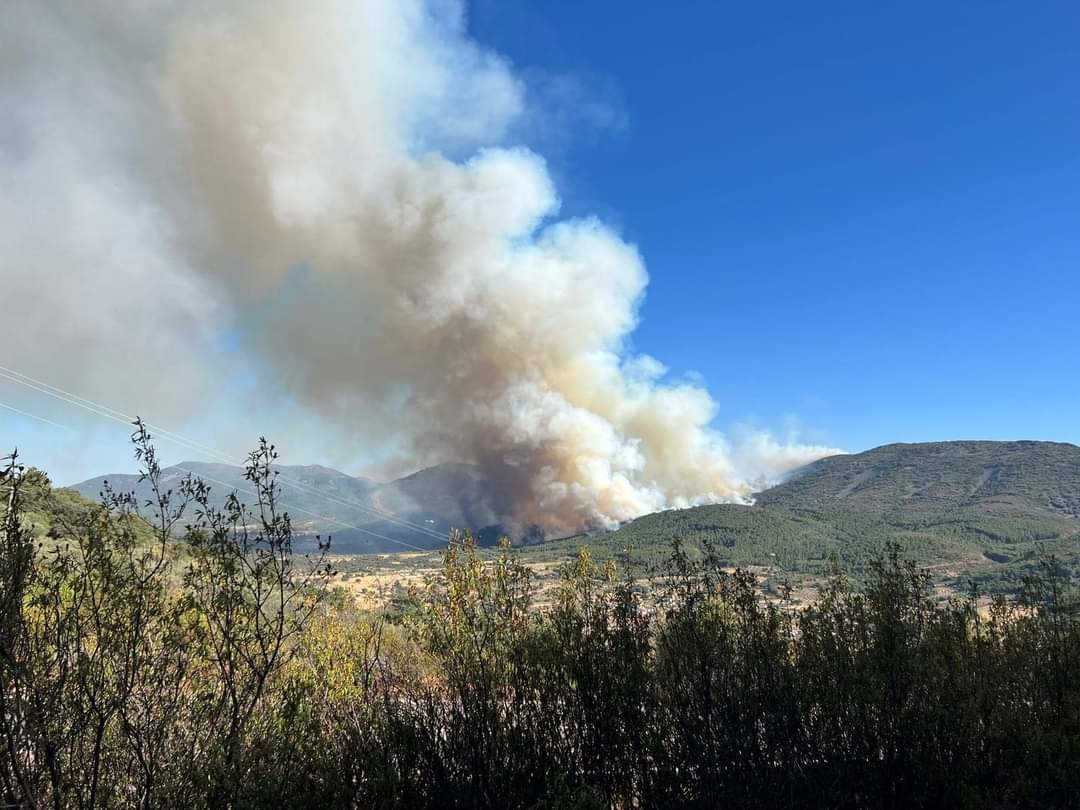 Paremos los trabajos forestales en olas de calor y leyes que regulen y prohiban estos trabajos, en los meses de máximo calor