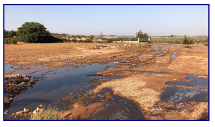 Macrogranjas e impacto ambiental, ganadería industrial y contaminación por purines