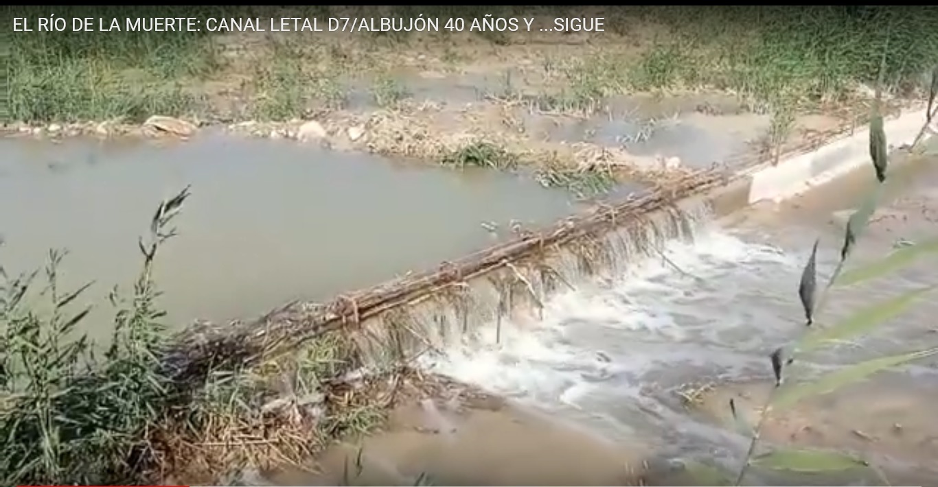 40 años vertiendo por el canal D7 de la CHS al Mar Menor, la misma CHS que dijo que iba a cortar los vertidos