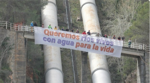 El incumplimiento del caudal mínimo ecológico en el río Tajo a su paso por Aranjuez, amenaza la pervivencia de vegetación y fauna acuática