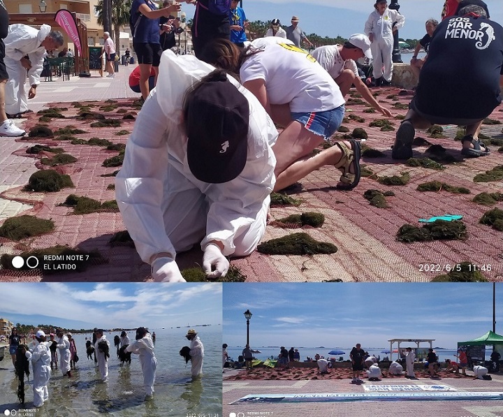 Acto simbólico de retirada de algas en el Mar Menor, para visibilizar su estado en fase crítica, en el día del Medio Ambiente