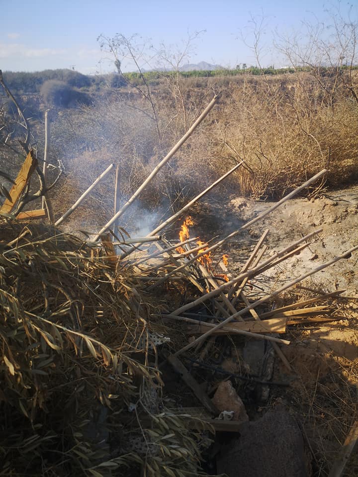 QUEMAS DE PLÁSTICOS EN AGRICULTURA INTENSIVA Y SUS CONSECUENCIAS