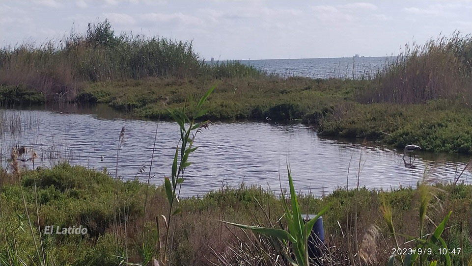 Playa de La Hita en El Mar Menor, recorremos unos 2 km de espacio protegido por una pasarela con varios miradores