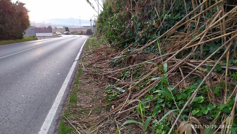 Carretera de La Asomada, la gran olvidada del Ayuntamiento de Cartagena, ¿pasos cebra, carril peatonal y bicis, para cuándo?