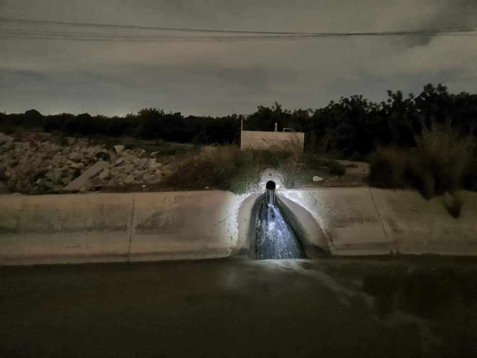 LA AGRICULTURA INTENSIVA ESTÁ ASESINANDO EL CAMPO, EL MAR, EL AIRE...