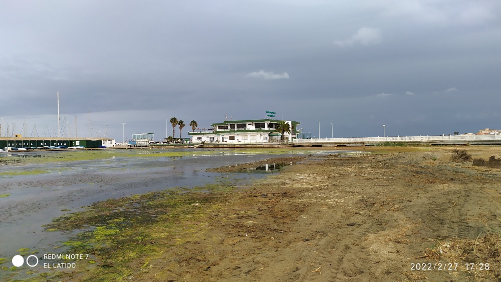 Los Nietos, no sólo no solucionan, sino que empeora El Mar Menor y eso que estamos en febrero