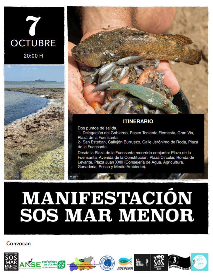 Educación, el gran reto compartido.... SOS Mar Menor, SOS Educación