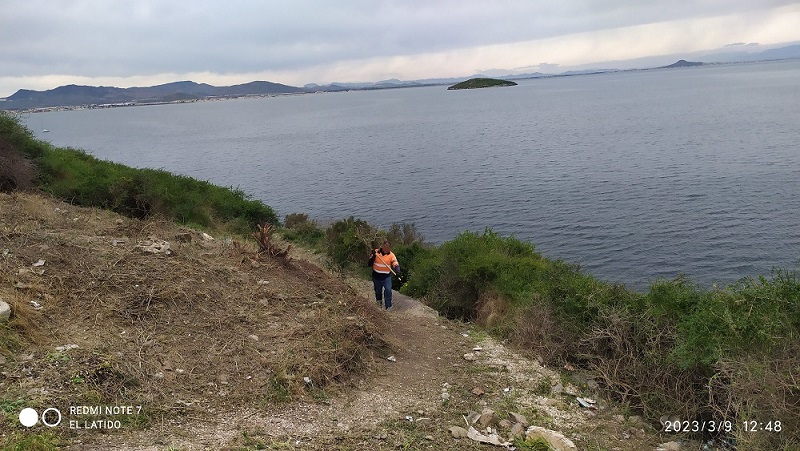 Alarma social por la destrucción de plantas protegidas y corte de acceso al mar en el mirador de Cala del Pino por obra sin licencia visible