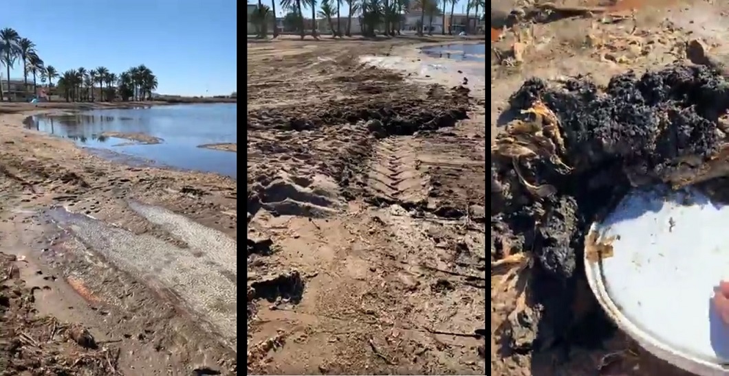 Después de denunciar ¿La Sra Casajús pide informes, sobre como se han retirado las algas del Mar Menor, que ella misma dirigía?