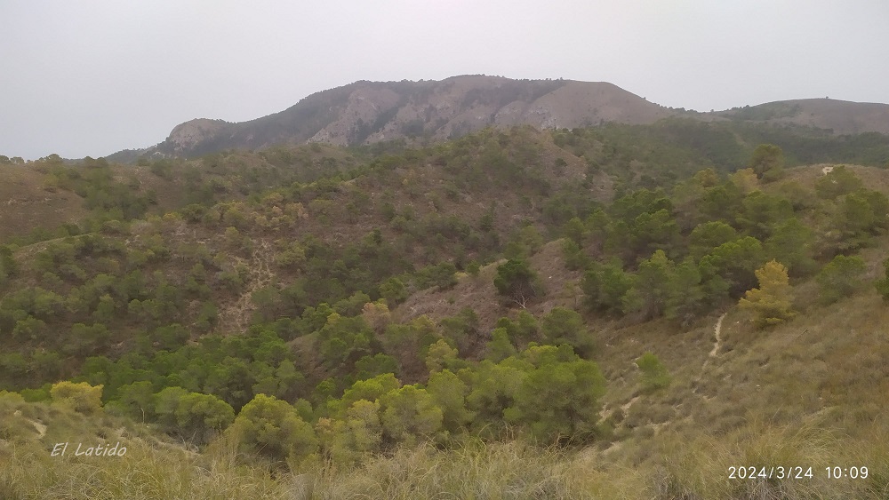 La Ruta del Agua por Galifa, unos 10 km por la Sierra de La Muela, recorremos uno de los numerosos senderos que hay en la zona