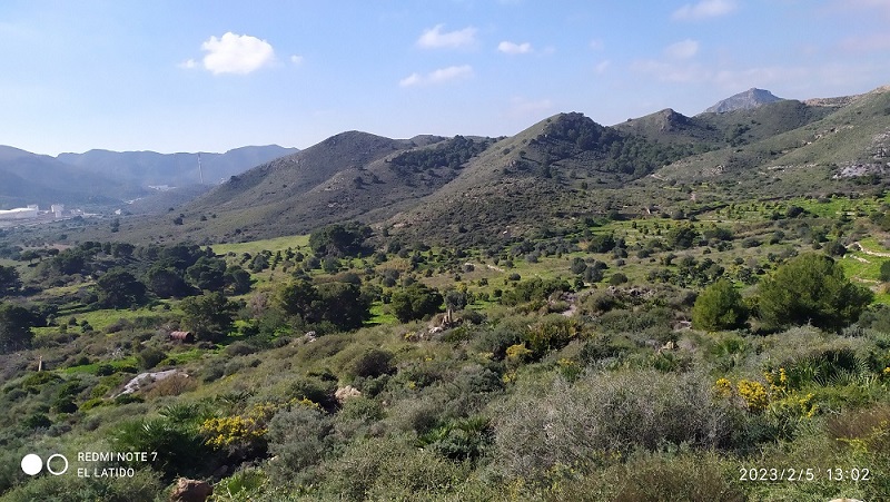 Lavadero y Mina Reina Regente, Mina La Verdad de Un Artista, Mina San Rafael, Mina Concilio y Mina Camarón, en zona de El Gorgel