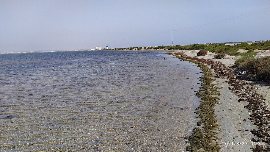 Playas de La LLana (Mar Menor), un paraje protegido, aunque no con mucho éxito
