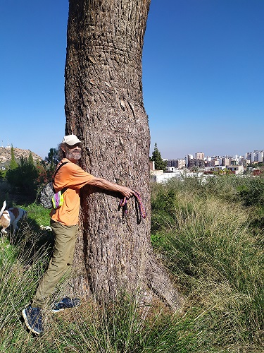 El Ayuntamiento de Murcia firmó la estrategia de adaptación al Cambio Climático, sin embargo quiere plantar toldos en lugar de árboles