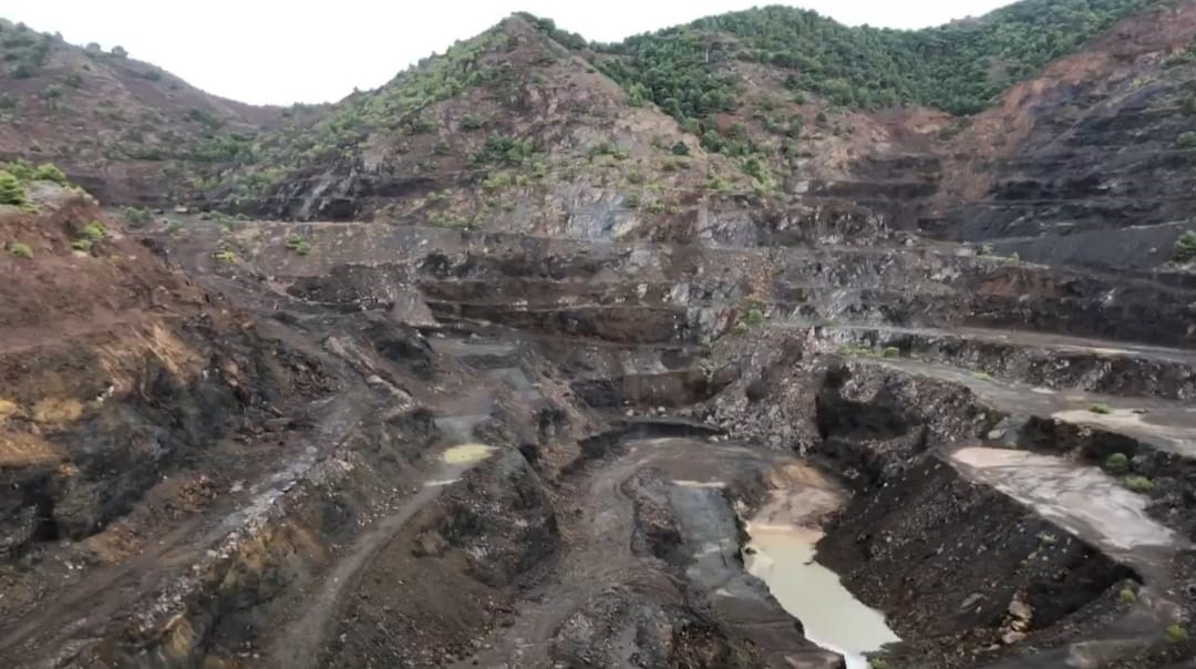 Si alarmante es la detección de metales pesados descubiertos por el Seprona en cultivos en El LLano del Beal, peor es que lo niegue la CARM