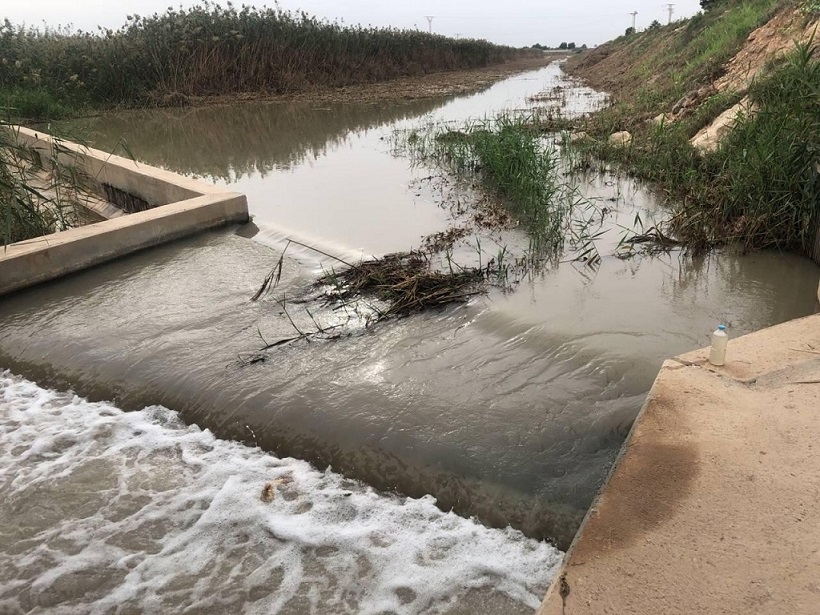 Un estudio europeo concluye que al Mar Menor llega Glifosato con niveles superiores a lo permitido