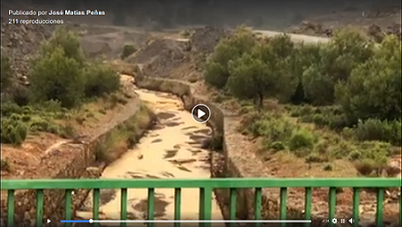 DÍA 24 DE MARZO DE 2020: RESIDUOS PELIGROSOS CAMINO DEL MAR MENOR PROVENIENTES DE LA DIPUTACIÓN DEL BEAL.