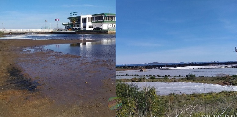 Los Nietos en El Mar Menor, mientras el Ayuntamiento de Cartagena se afana en quitar biomasa, siguen sin tratar el problema en origen