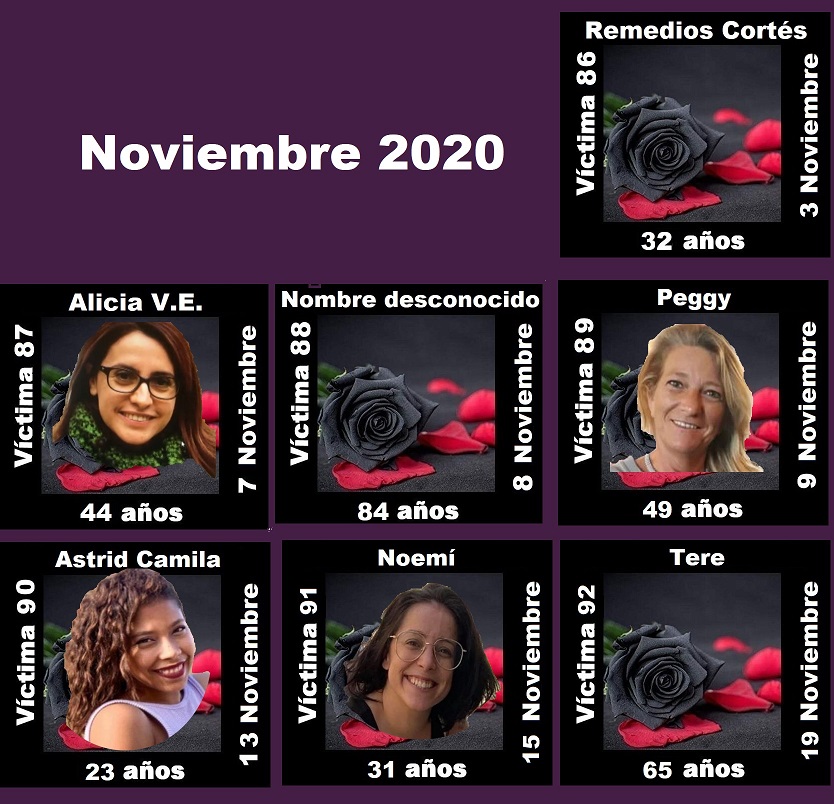 NOVIEMBRE 2020 (7 asesinatos machistas)