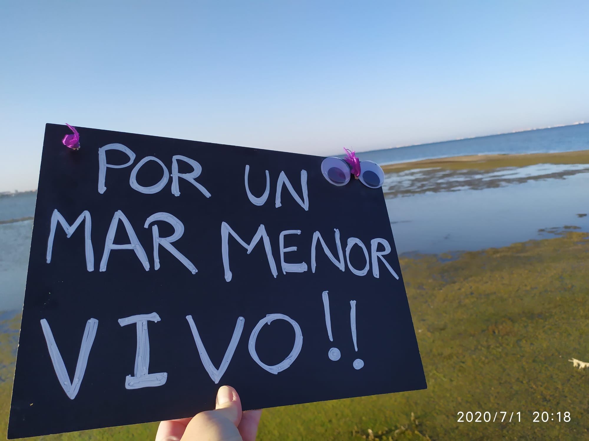 ACCIONES CIUDADANAS POR EL MAR MENOR: ESTE SÁBADO DOBLE CITA EN LA ZONA DE LOS ALCÁZARES