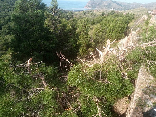 En Calblanque, Monte de las Cenizas y Peña del Águila, Fomento R.Murcia realiza un desbroce salvaje, eliminando flora protegida
