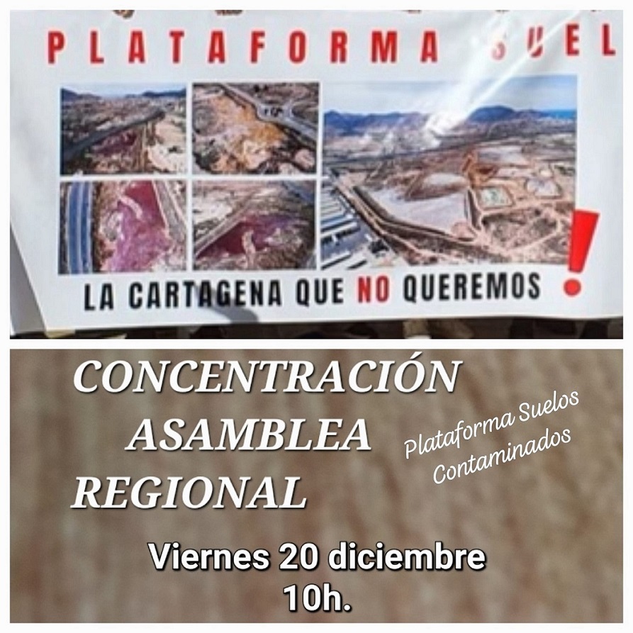 La Plataforma de suelos contaminados Cartagena, convoca nueva concentración, ante el abandono de las administraciones de Cartagena y Murcia