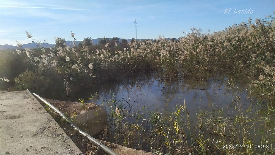 Rambla de Miranda en Cartagena, paralela a la de El Albujón, también vierte al Mar Menor sobre todo por la agroindustria