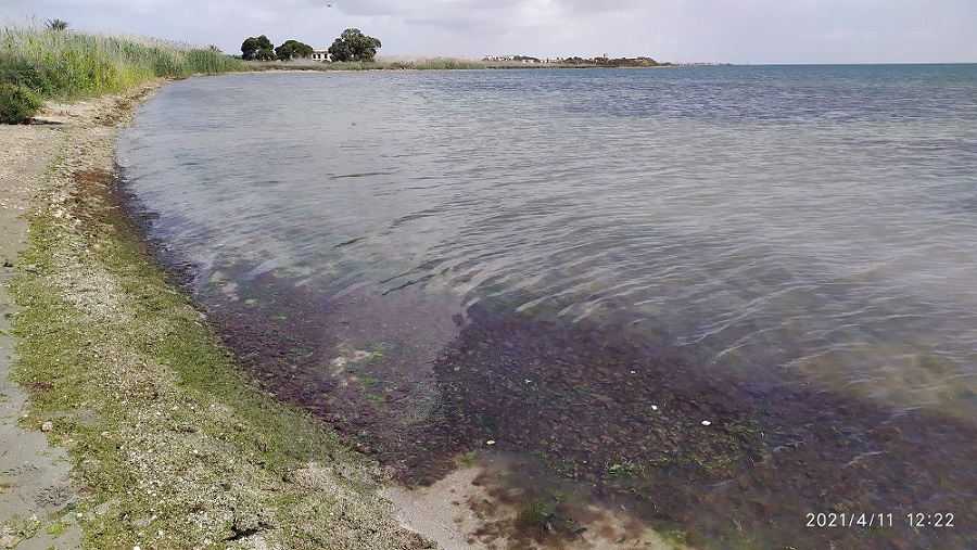 El Golfo del Mar Menor (11/04/2021)