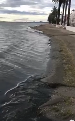 LA MUERTE HA LLEGADO AL MAR MENOR EN SU TRAMO DE LOS URRUTIAS