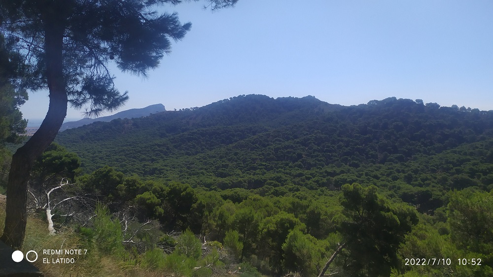 Ruta monte de las Cenizas a la batería de Negrete, bajada hasta zona Pinar de Portmán y calzada romana hasta el punto de inicio