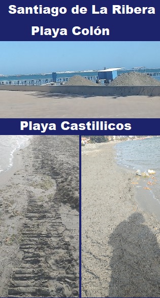 Los dragados del Ayuntamiento de San Javier en las playas, agrava el problema del Mar Menor, destruyendo flora y fauna