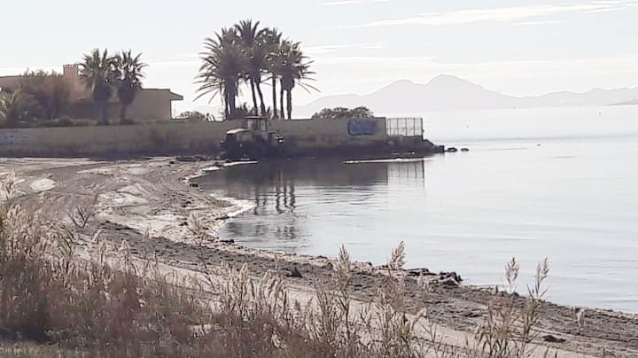 Denuncian la forma de limpiar de algas el Mar Menor incluso con maquinaria pesada en algunos puntos y nos preguntamos, ¿y el biólogo?