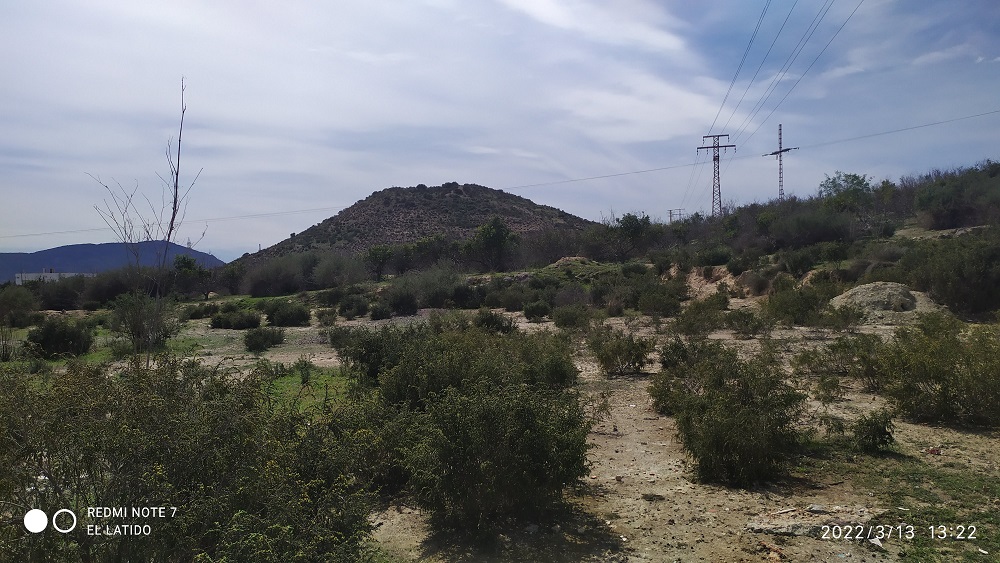 Cabezo de La Fraila, cono volcánico frente al de Cabezo Beaza, con vistas a los terrenos contaminados del Hondón