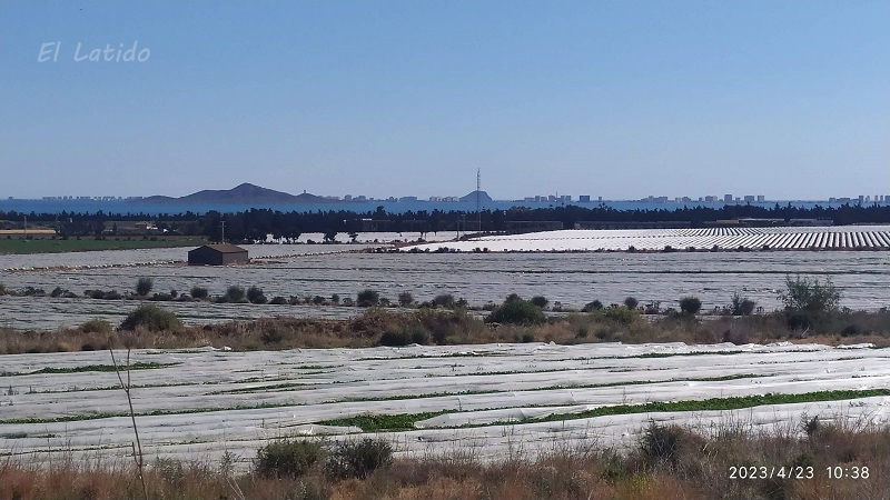 El regadío en el Campo de Cartagena va a pleno rendimiento, mientras exportan casi todo, la población va camino de restricciones de agua