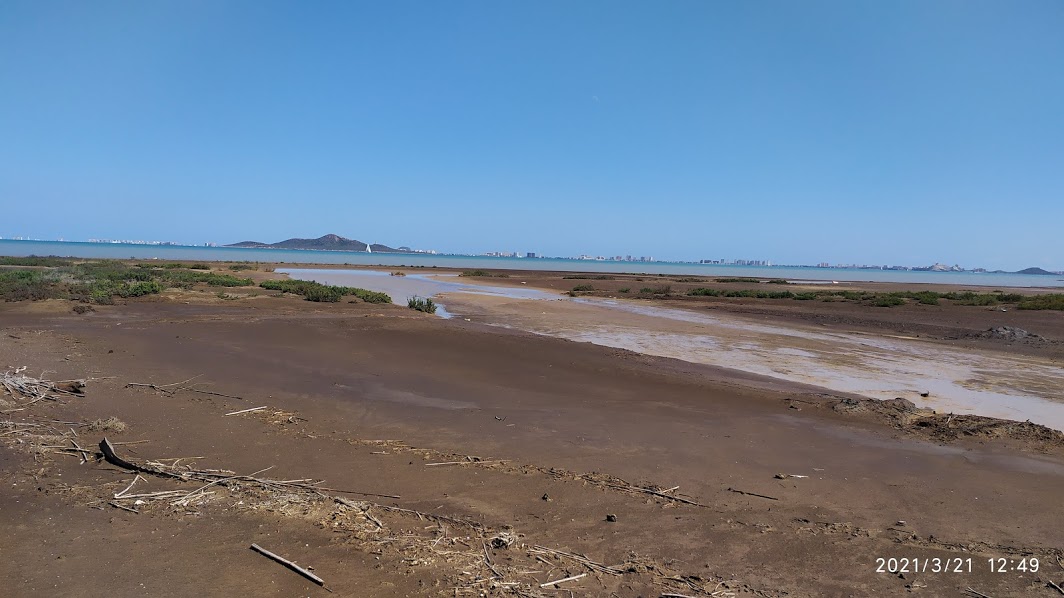 Rambla de El Beal y su desembocadura en El Mar Menor, metales pesados y agricultura intensiva, dos de sus grandes problemas