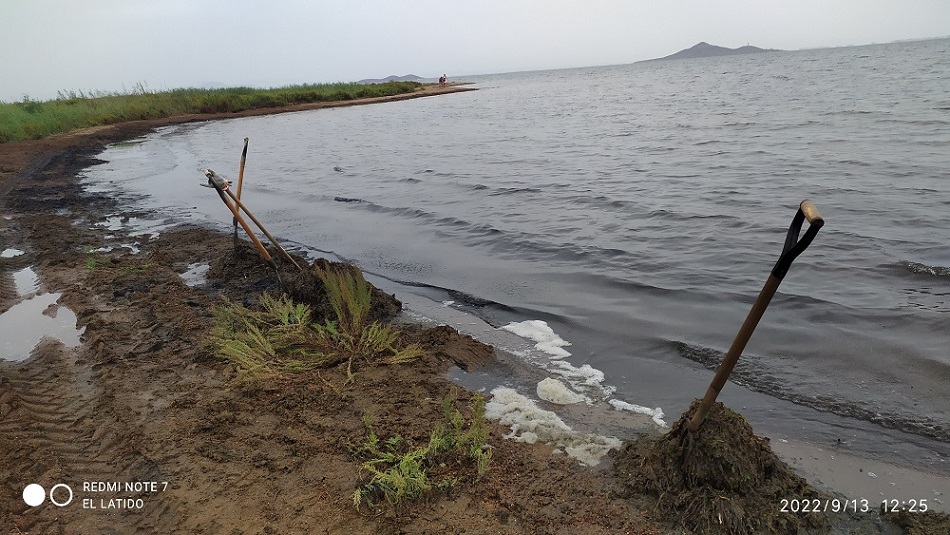 Islas Menores, un ejemplo de la tríada mortal del Mar Menor, agroindustria, metales pesados y obra nueva