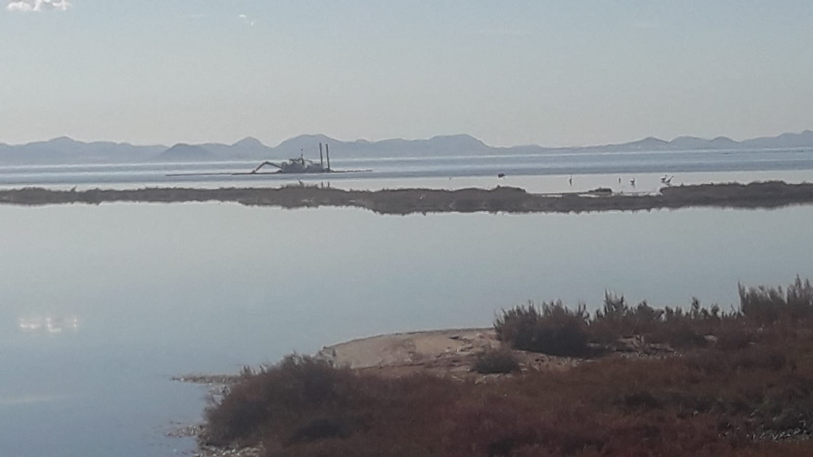 López Miras draga la Gola de La Encañizada, poniendo en peligro de muerte al Mar Menor