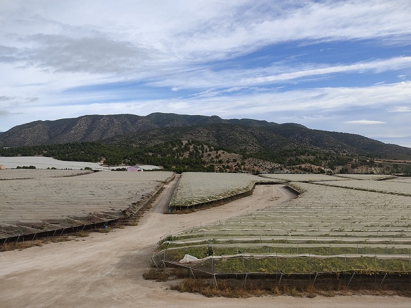 III Ruta en Defensa del Agua y del Patrimonio Natural del Noroeste, con el lema ¡SOS FUENTES-HUMEDALES y RÍO ARGOS!