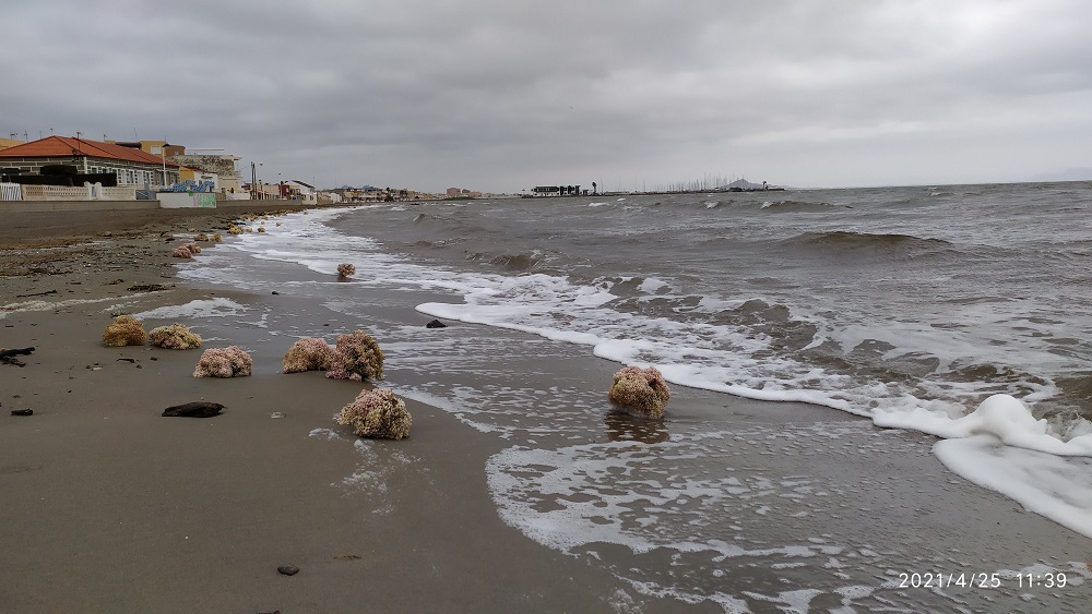 Desembocadura de la Rambla de la Carrasquilla, en la Punta de la Lengua de la Vaca