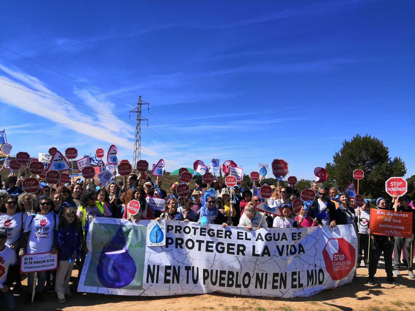 IV Encuentro estatal en Albacete, contra la ganadería industrial, con más de 70 movimientos vecinales y 6 organizaciones nacionales