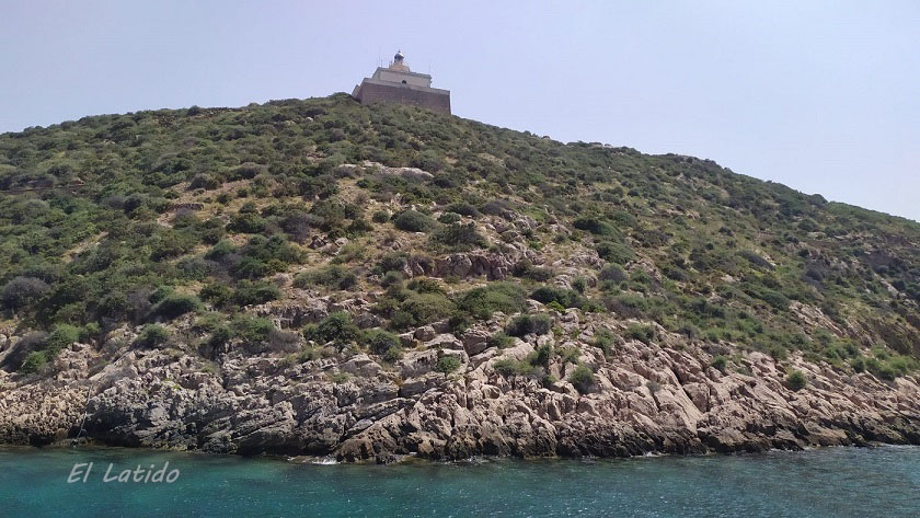 La Isla de Escombreras, donde se inicia la Sierra de la Fausilla, último refugio para el lagarto insular en un Valle altamente contaminado