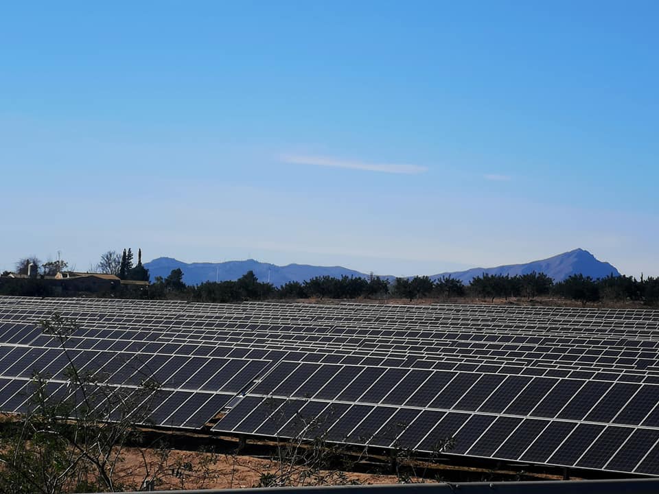 LA TRIADA MALDITA: Ganadería Intensiva, Campos de Placas Solares y agricultura intensiva