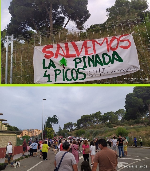 LA PATATA CALIENTE DE LA PINADA DE 4 PICOS QUE LA CASTEJON LE HA DEJADO A LA ARROYO, ¿Y AHORA QUÉ?