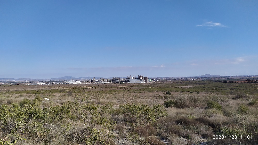 SABIC pondrá 263.000 placas solares, ¿Será detrás perdiendo una biodiversidad extraordinaria y a los pies de un espacio protegido?