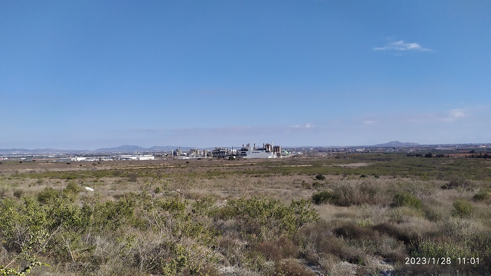 SABIC pondrá 263.000 placas solares, ¿Será detrás perdiendo una biodiversidad extraordinaria y a los pies de un espacio protegido?